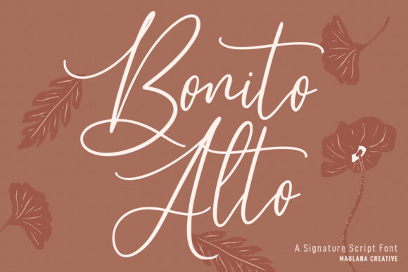 Alto Bonito: A Script Font for Modern Web Design