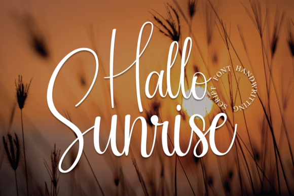 Hallo Sunrise Typeface Review: A Delicate Script for Elegant Branding