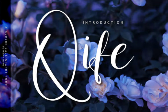 Qife: A Handwritten Script Font for Modern Web Design
